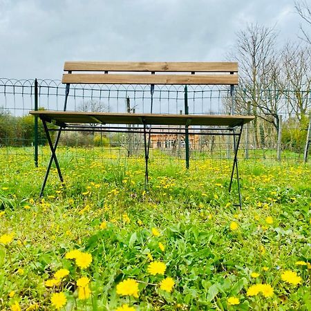 Villa Bubu, Appartamento Country-Chic 로마 외부 사진