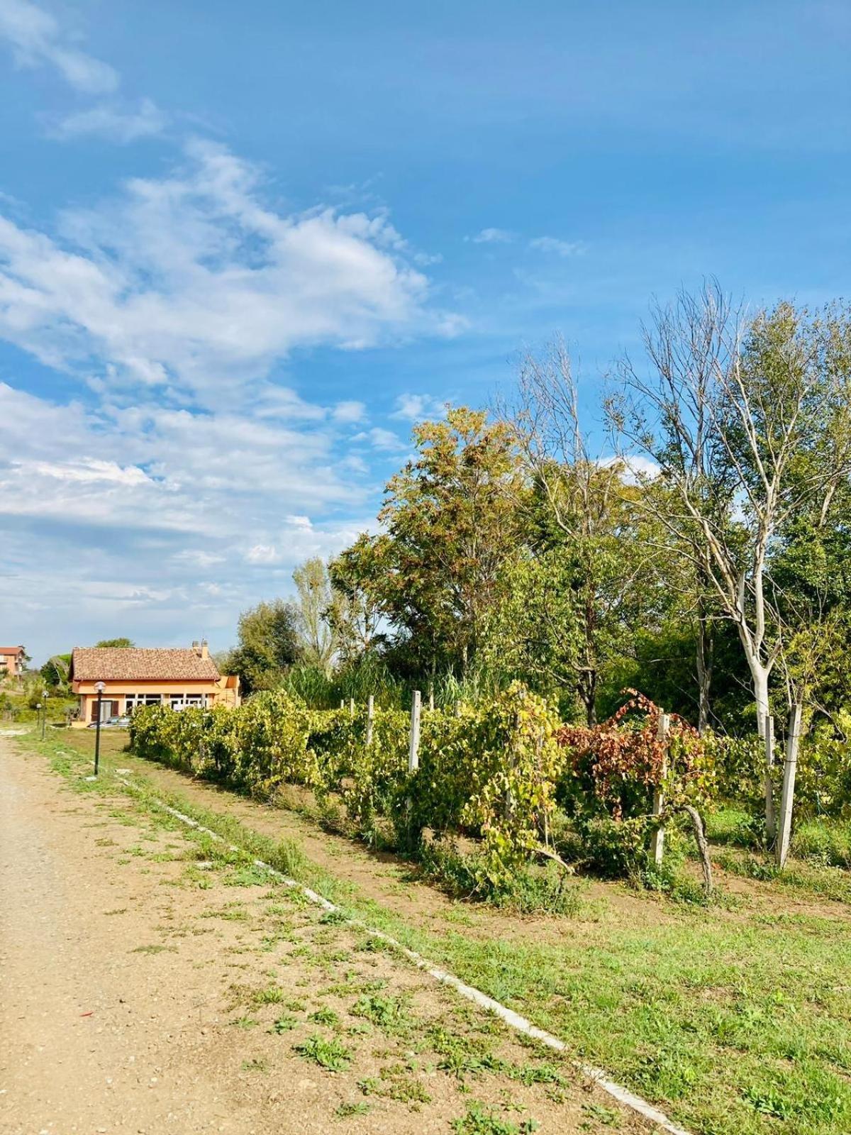 Villa Bubu, Appartamento Country-Chic 로마 외부 사진